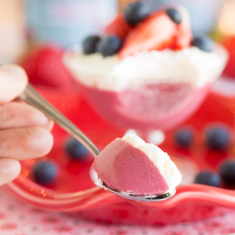 Enkel vegansk pannacotta på 3 ingredienser av anna winér