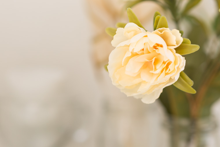 blomma