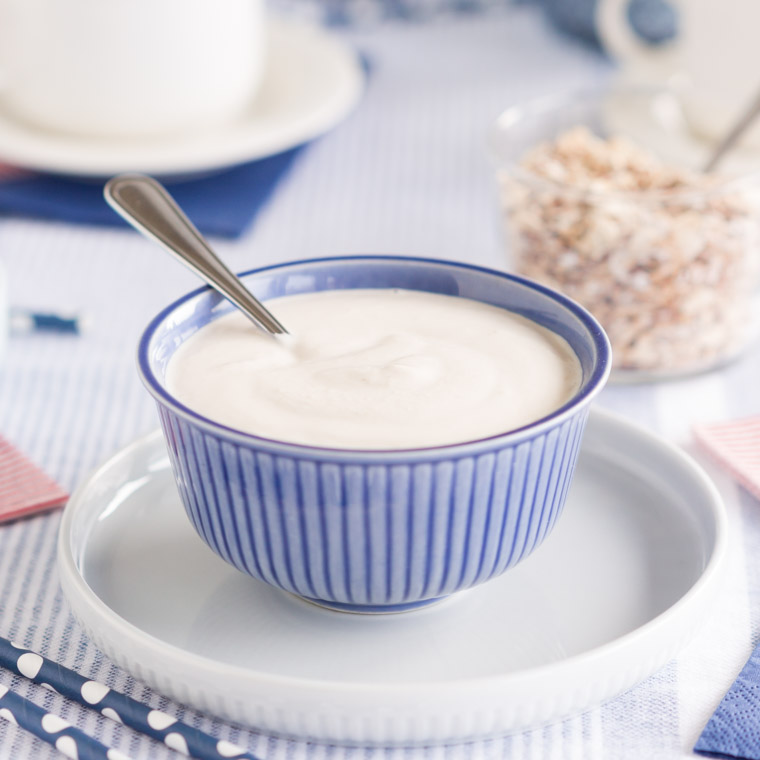 Vegansk fil med probiotika, av Anna Winér