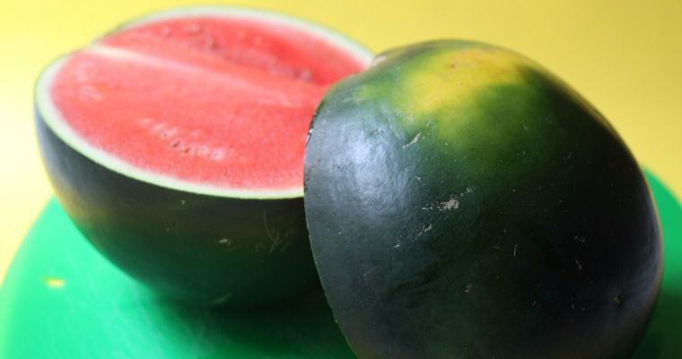 Så väljer du en fin melon